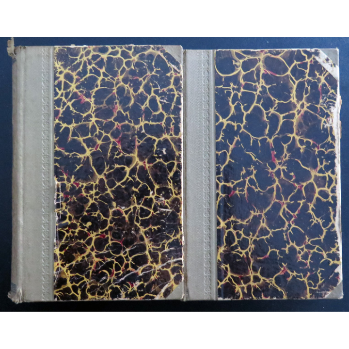 Paire de dictionnaires français Tchèque et Tchèque Français Herzer-Ibl