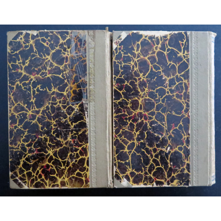 Paire de dictionnaires français Tchèque et Tchèque Français Herzer-Ibl