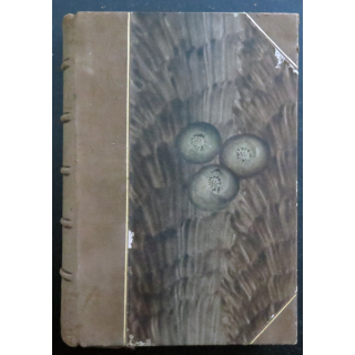 Livre Roman tchèque Anabase de Rudolf Medek 1928