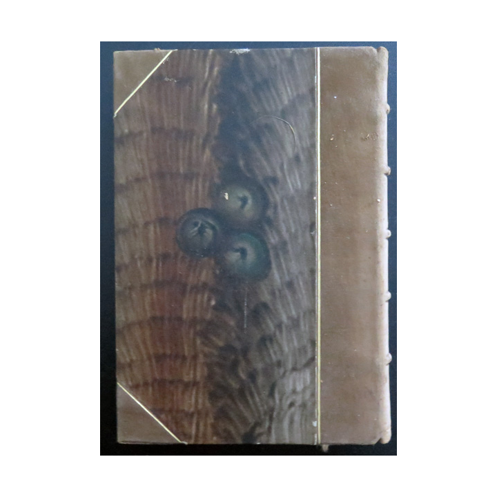 Livre Roman tchèque Anabase de Rudolf Medek 1928