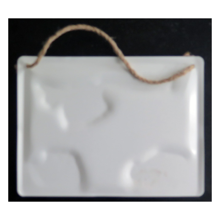 Plaque en fer peint Toulouse le capitole 20 x 15 cm