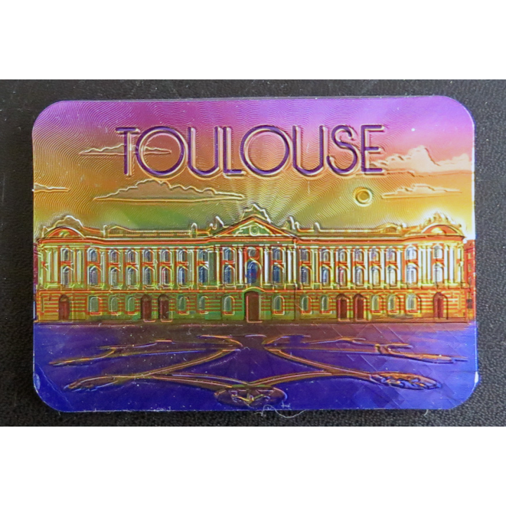 Magnet Toulouse 6 x 8,5 cm