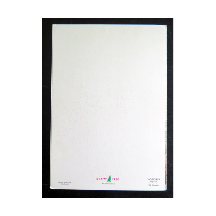 Double carte d'anniversaire Happy Birthday Leanin Tree 12 x 17 cm