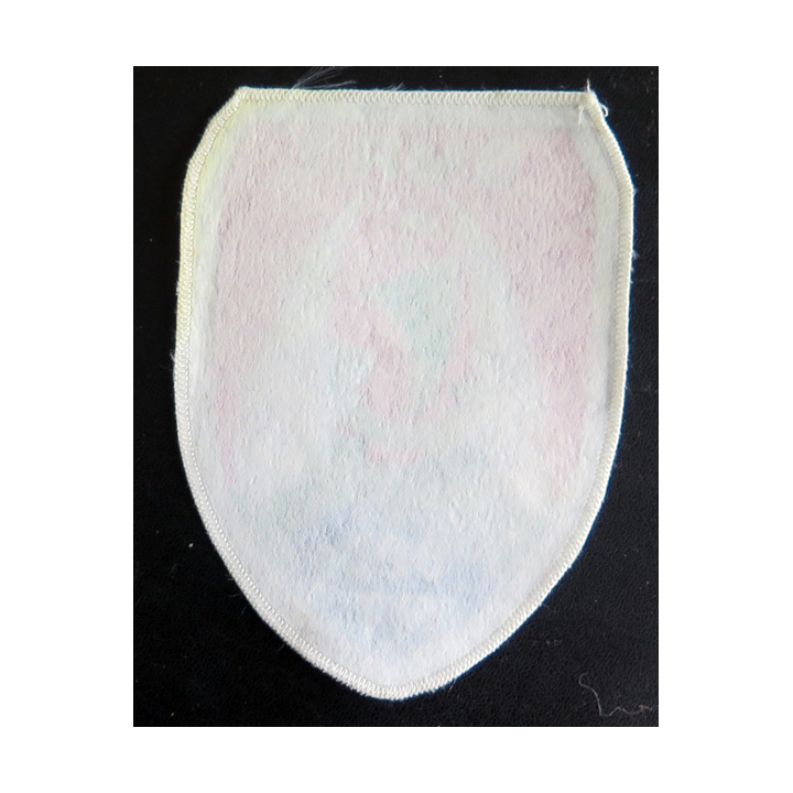 526° RT GMR1 : insigne tissu du GMR 1 du 526° régiment du train 13 x 9,5 cm