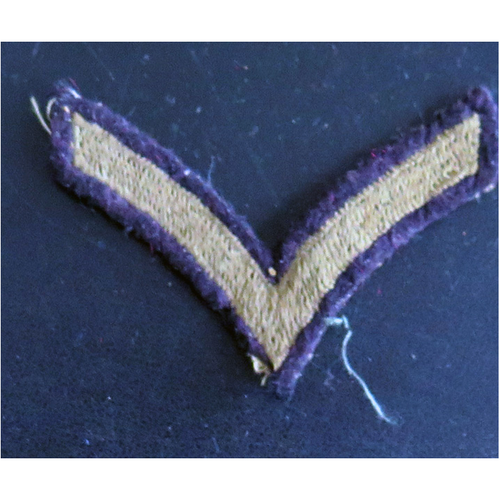 USA : Galon de combat tissu de manche