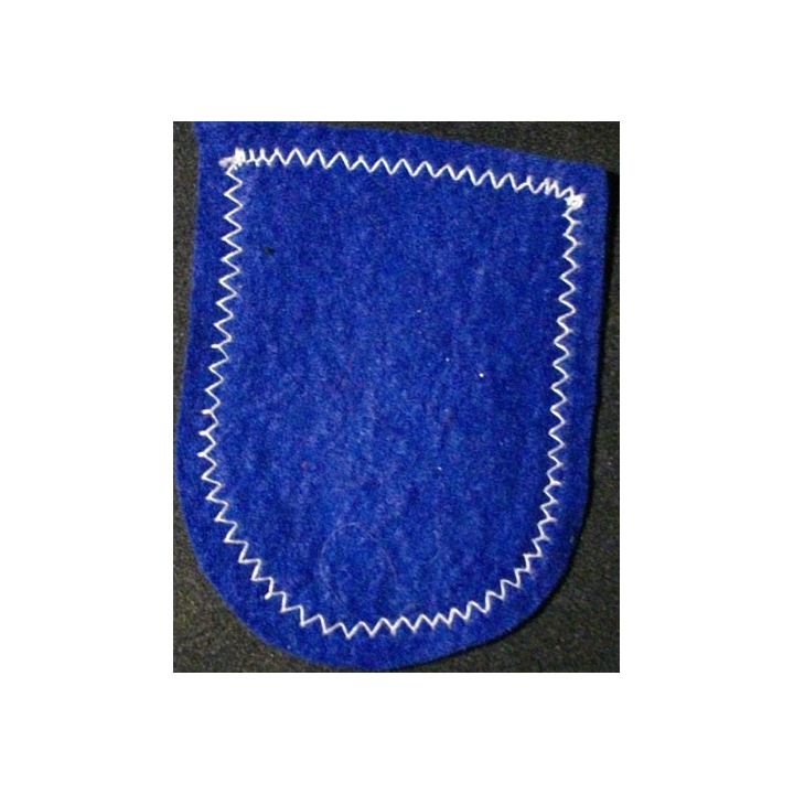 INSIGNE TISSU : RADOLFZELL (DIMENSION 5,5 x 7,3 cm)