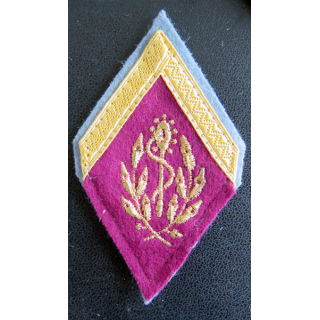 SANTE : galon de sergent appelé (PDL) du service de santé des armées sur tissu bleu clair