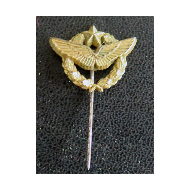Epinglette de brevet de pilote de l'Armée de l'Air