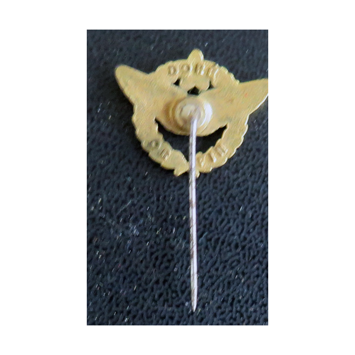 Epinglette de brevet de pilote de l'Armée de l'Air