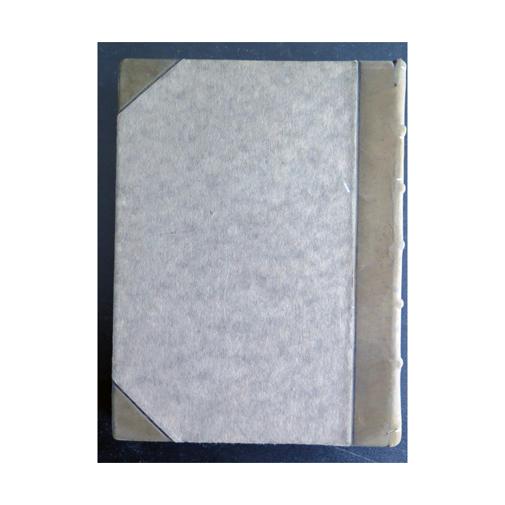 BRATRSTVO tome 1 Bitva u Lucence de Jirasek (en tchèque) 1921 demi cuir