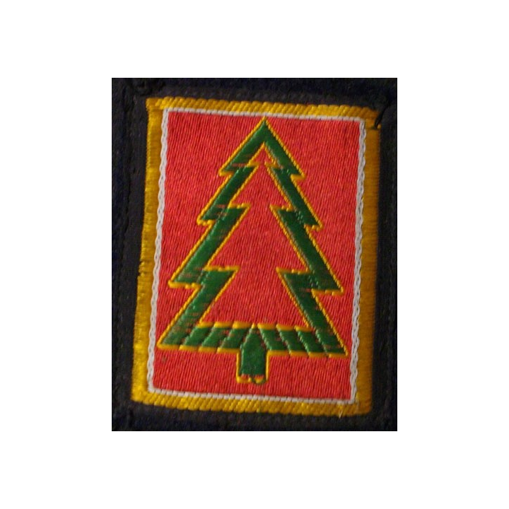 INSIGNE TISSU : 4° DIVISION D'INFANTERIE  MOTORISÉE (6 x 7,2 cm)