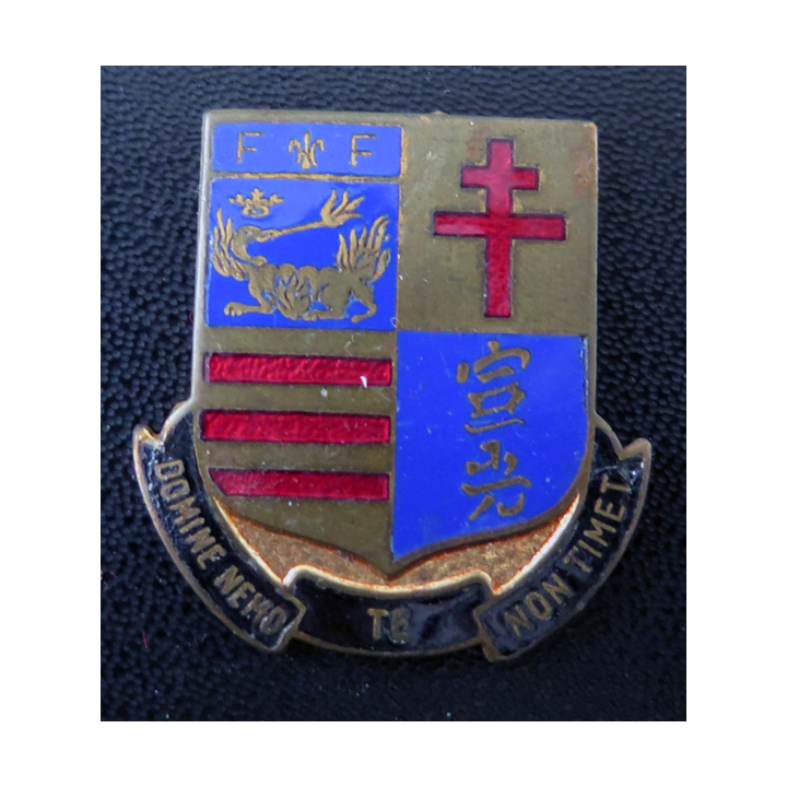 CDT DOMINE : insigne émaillé de l'Aviso Dragueur Commandant Domine Augis sans attache
