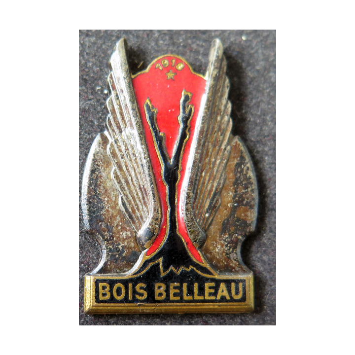 P.A BOIS  BELLEAU : insigne émaillé du Porte avions Bois Belleau Drago Romainville sans attache