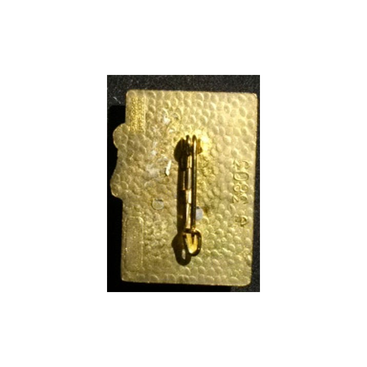 15° DI : 15° DIVISION D'INFANTERIE (DELSART 3803)