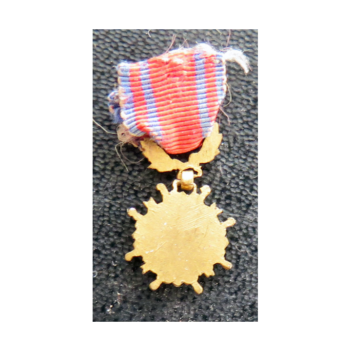 FRANCE : Médaille miniature du dévouement social en émail