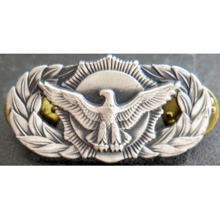 USA : Brevet de la US AIR FORCE Police security sur pin's
