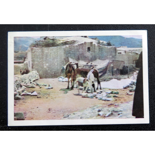 CHOCOLATS SUCHARD : n° 501 En Samarie 7,7 x 5,2 cm