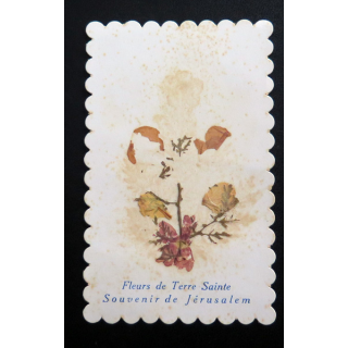IMAGE PIEUSE : Fleurs de terre sainte Souvenir de Jérusalem 6,7 x 10,7 cm