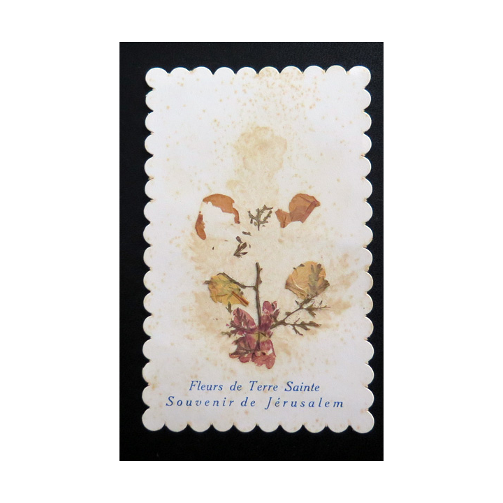 IMAGE PIEUSE : Fleurs de terre sainte Souvenir de Jérusalem 6,7 x 10,7 cm