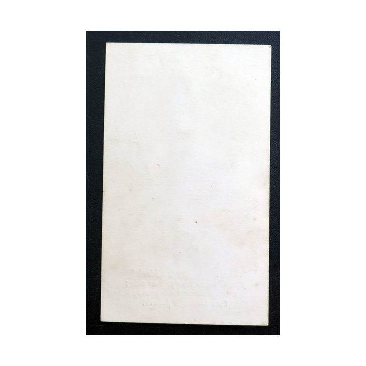 IMAGE PIEUSE : Souvenir de Notre Dame de Lourdes 6 x 10 cm