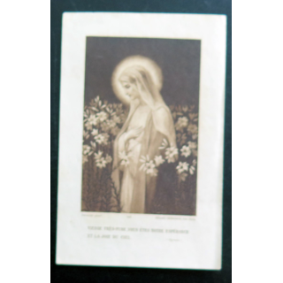 IMAGE PIEUSE : Prière à la Vierge Marie 7,3 x 11,5 cm