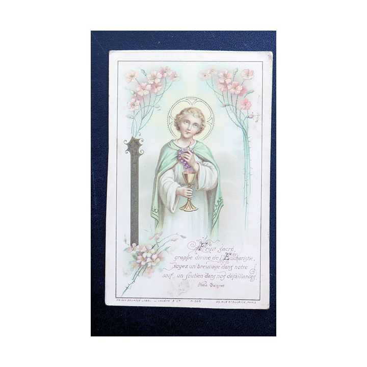 IMAGE PIEUSE : Fruit sacré grappe divine de l'Eucharistie  7 x 11 cm