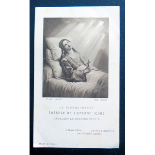 IMAGE PIEUSE : la Bienheureuse Thérèse de l'Enfant Jésus 6,7 x 11,2 cm
