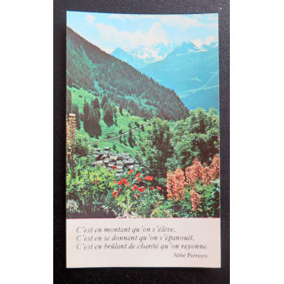 IMAGE PIEUSE : Souvenir de Profession de Foi 1981 6,9 x 11,5 cm