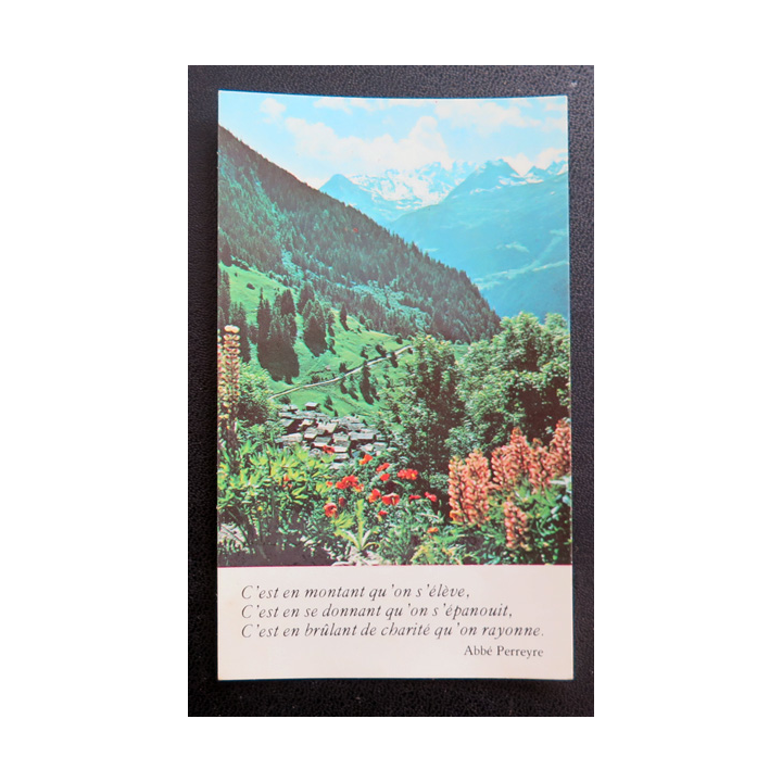 IMAGE PIEUSE : Souvenir de Profession de Foi 1981 6,9 x 11,5 cm