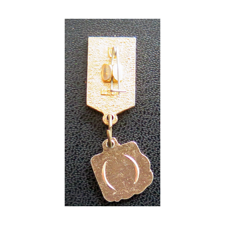URSS : Médaille de Tir de l'URSS