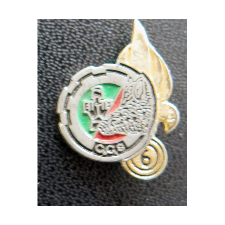 6° REG : pin's de la CCAS du 6° régiment étranger du Génie sans attache