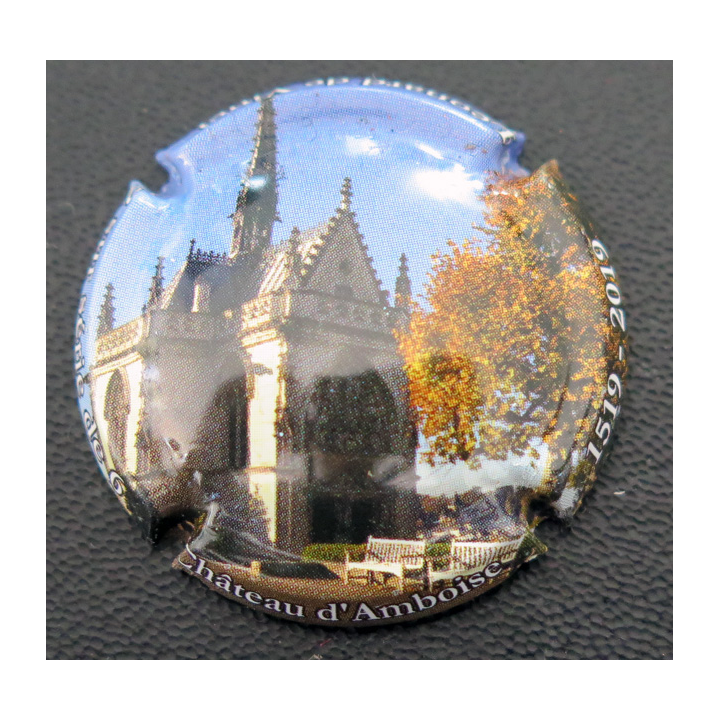 Capsule Muselet de bouteille de VAL DE LOIRE Château d'auboise (2 sur série de 6)