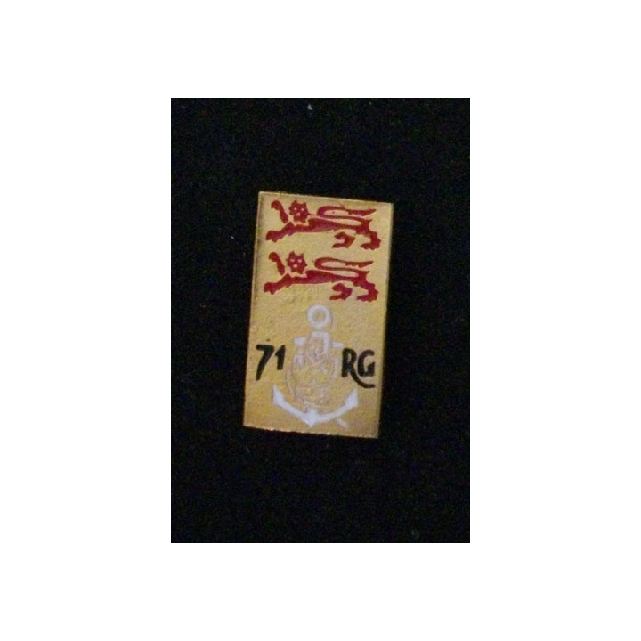 71°RG : 71°RÉGIMENT  DU GÉNIE PIN'S (HAUTEUR 25 mm)