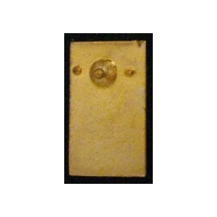 71°RG : 71°RÉGIMENT  DU GÉNIE PIN'S (HAUTEUR 25 mm)