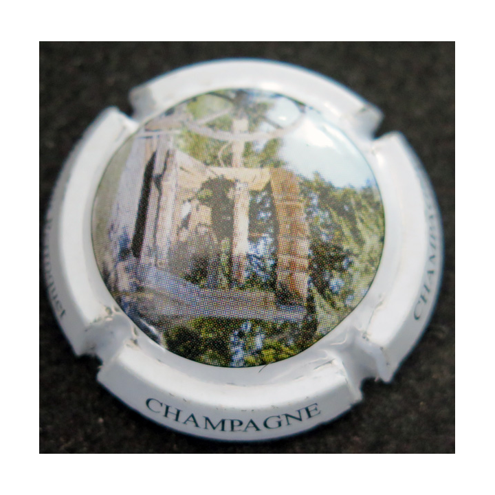 Capsule Muselet de bouteille de champagne GENERIQUE n° 884 Pressoir perroquet