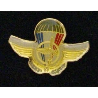 PIN'S : CIFC 20-301 DRACHENBRONN HAUTEUR 2 cm