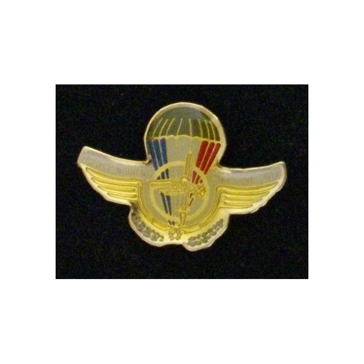 PIN'S : CIFC 20-301 DRACHENBRONN HAUTEUR 2 cm