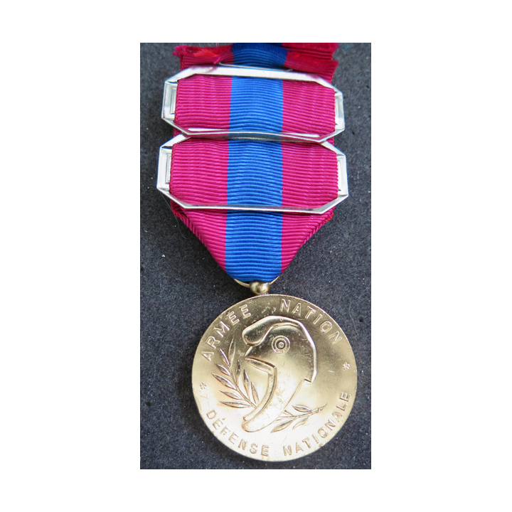 FRANCE : médaille de la défense nationale type bronze doré avec barrette "armée de l'air" et "génie"