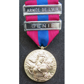 FRANCE : médaille de la défense nationale type bronze doré avec barrette "armée de l'air" et "génie"