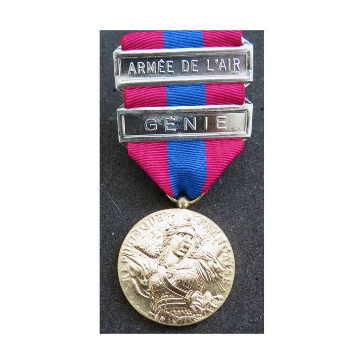 FRANCE : médaille de la défense nationale type bronze doré avec barrette "armée de l'air" et "génie"