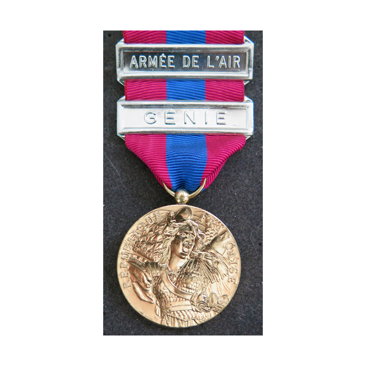 FRANCE : médaille de la défense nationale type bronze doré avec barrette "armée de l'air" et "génie"