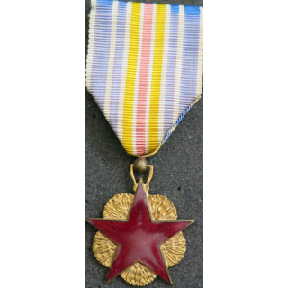 FRANCE : Médaille des blessés 1° type en métal doré étoile en résine rouge