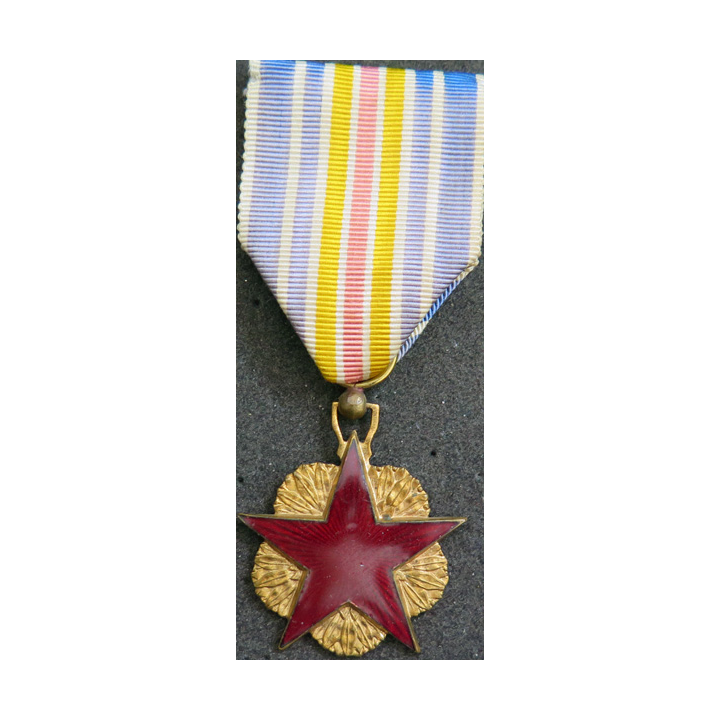 FRANCE : Médaille des blessés 1° type en métal doré étoile en résine rouge