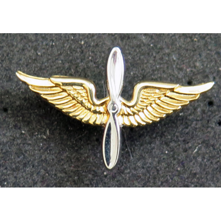 USA :  insigne de col d'officier US Air Force attaches pin's