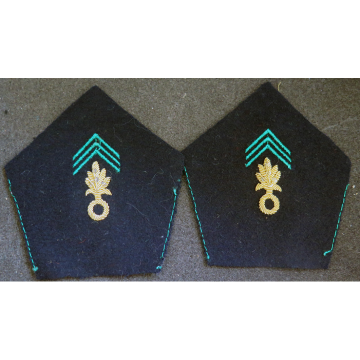 SOUTACHE : paire d'insigne de col de cadre de la légion étrangère en cannetille