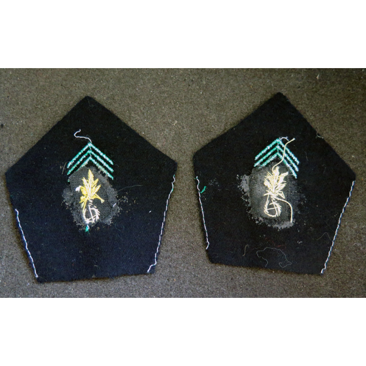 SOUTACHE : paire d'insigne de col de cadre de la légion étrangère en cannetille