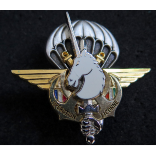 OPÉRATION LICORNE Y. Boussemart 2002 matriculé D0356
