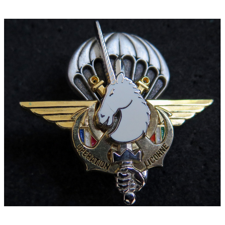 OPÉRATION LICORNE Y. Boussemart 2002 matriculé D0356