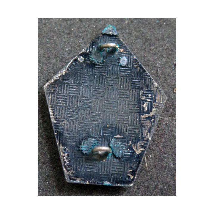 132° GCAT : 132° Groupe cynophile de l'Armée de terre Drago G. 2556