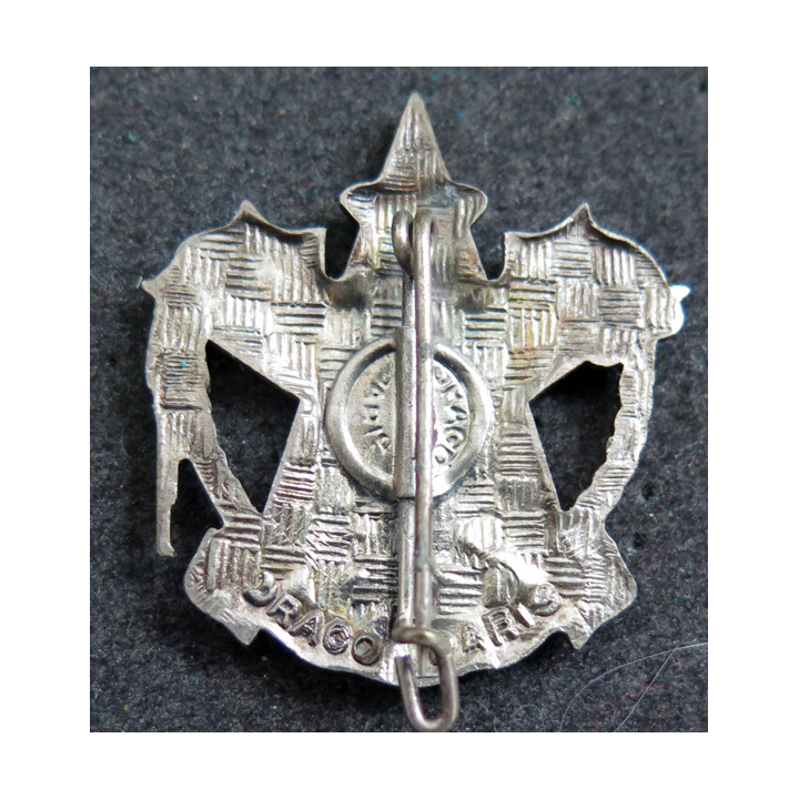 26° RI : 26° régiment d'infanterie Drago fourragère peinte